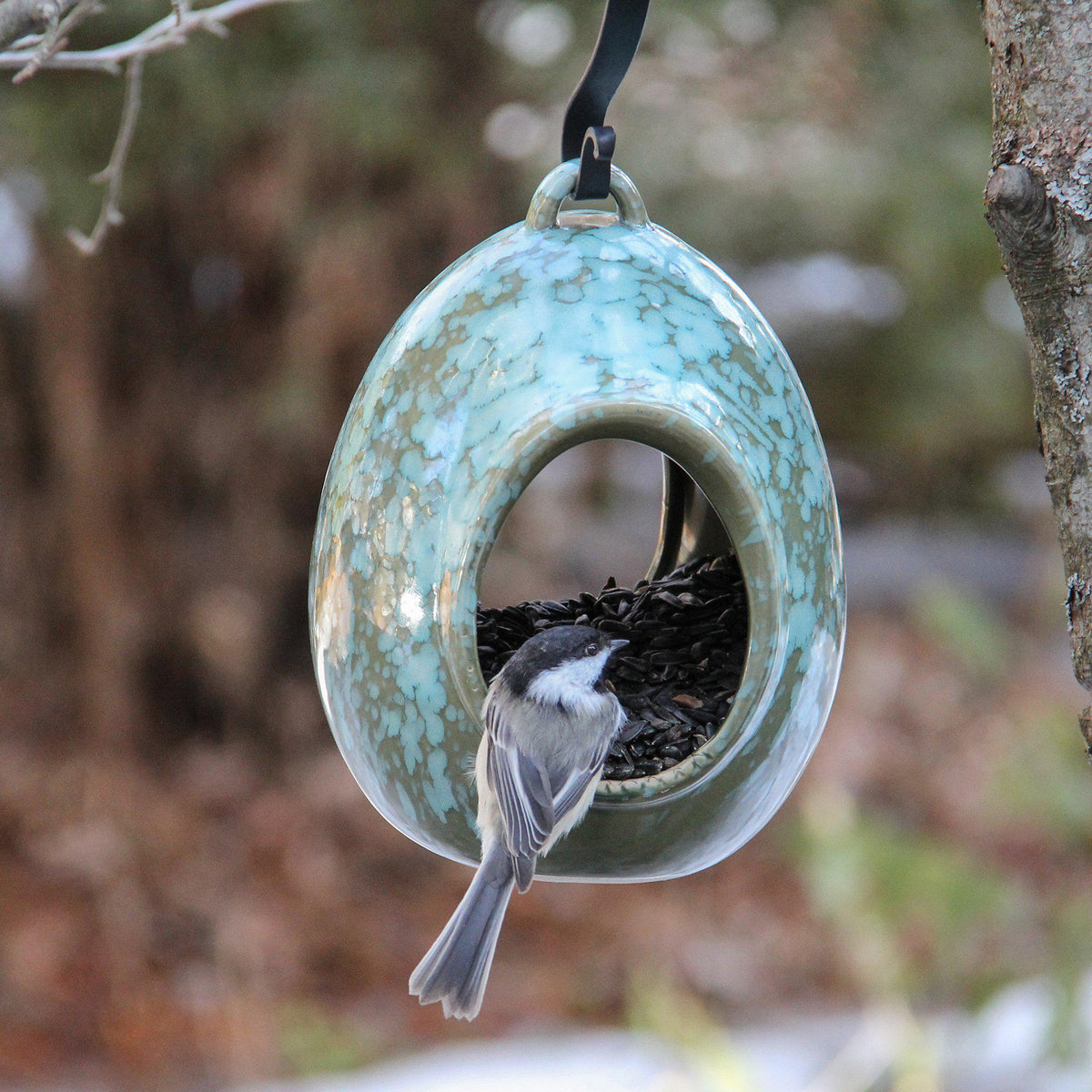 Egg Fly-Through Feeder