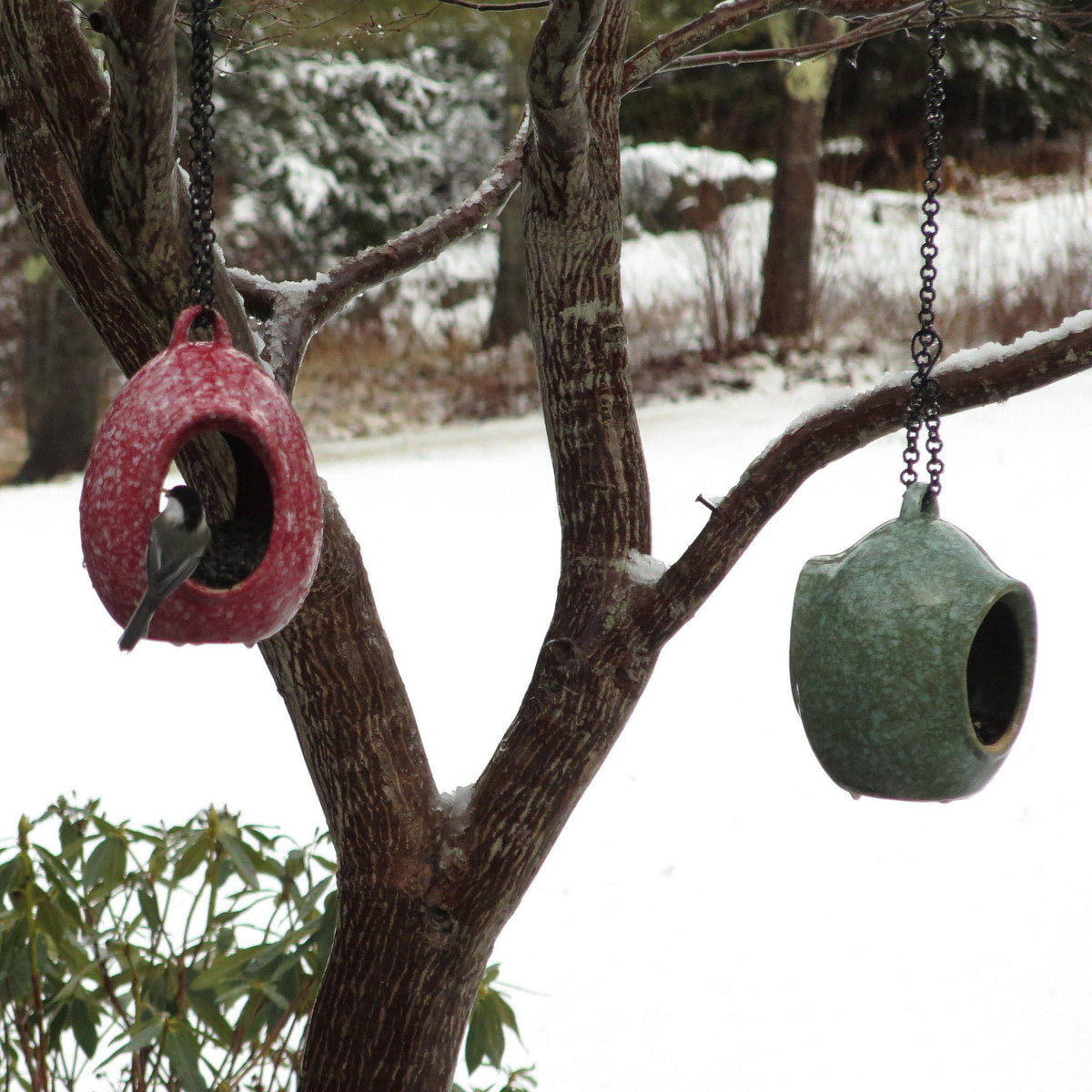 Egg Fly-Through Feeder