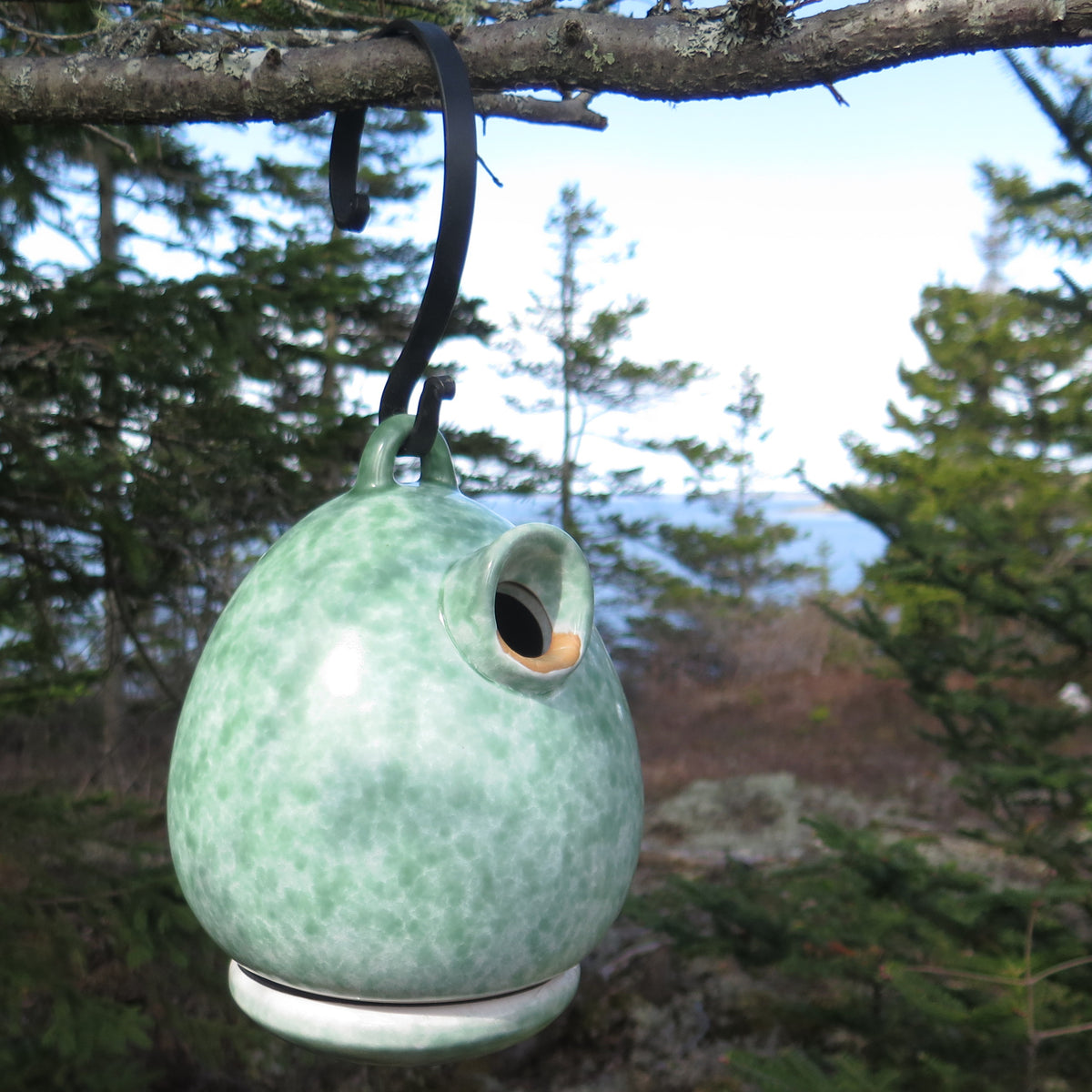 Egg Bird Home