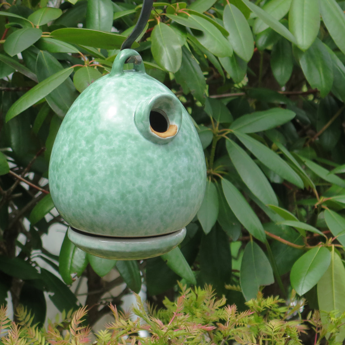 Egg Bird Home