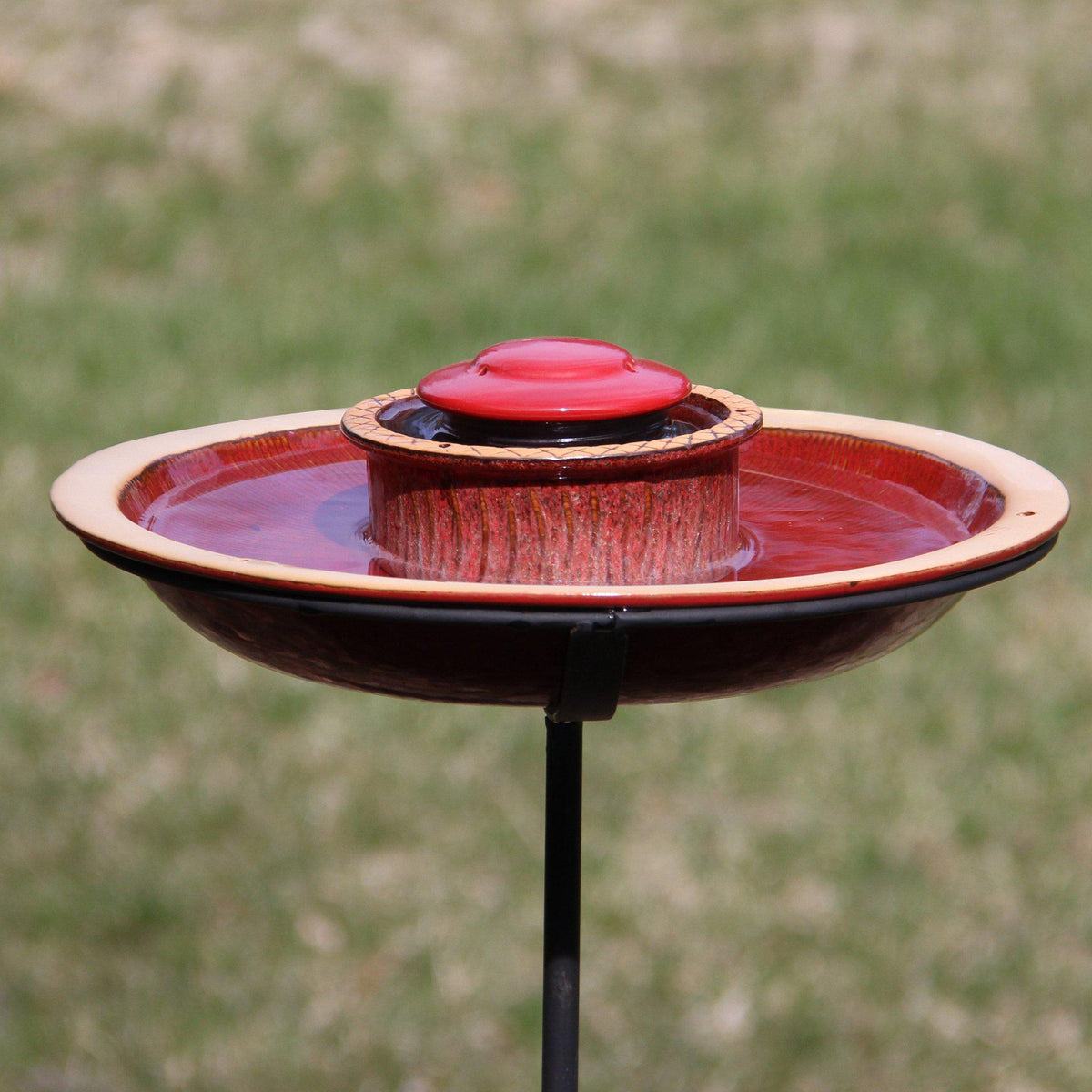 Alcyon Hummingbird Feeder