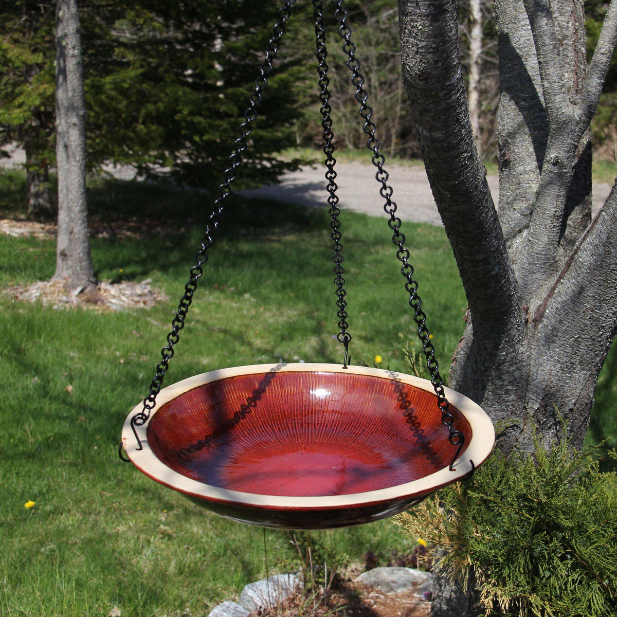 Radial Bird Bath - Hanging Style