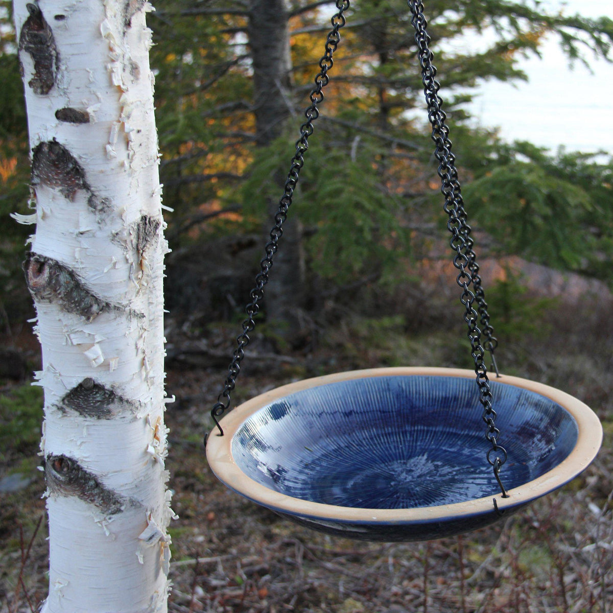 Radial Bird Bath - Hanging Style