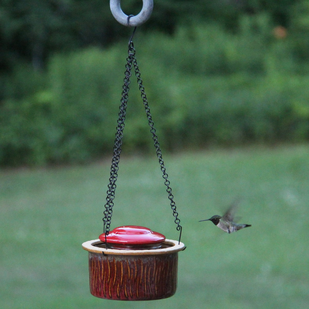 Alcyon Hummingbird Feeder