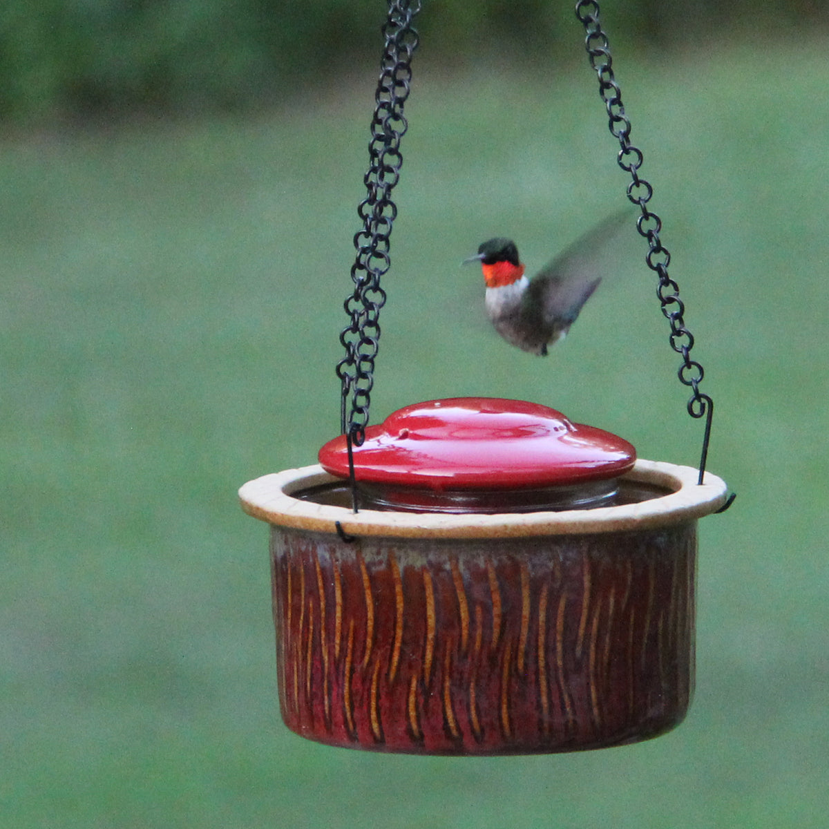 Alcyon Hummingbird Feeder