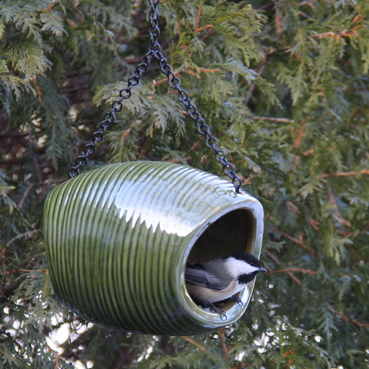 MangoStone Fly-through Feeder