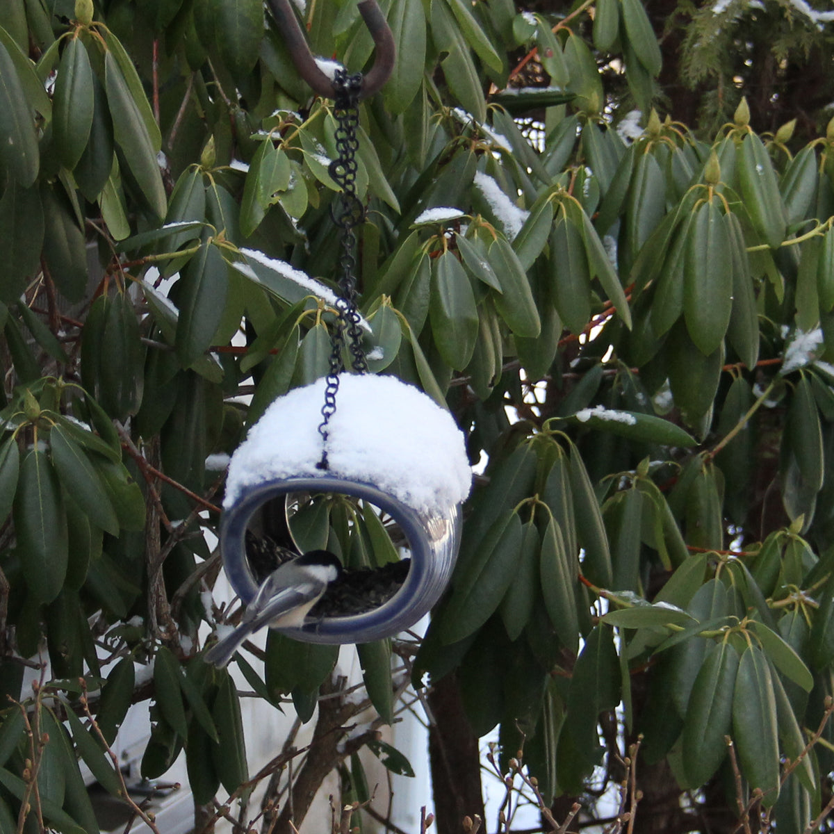 MangoStone Fly-through Feeder