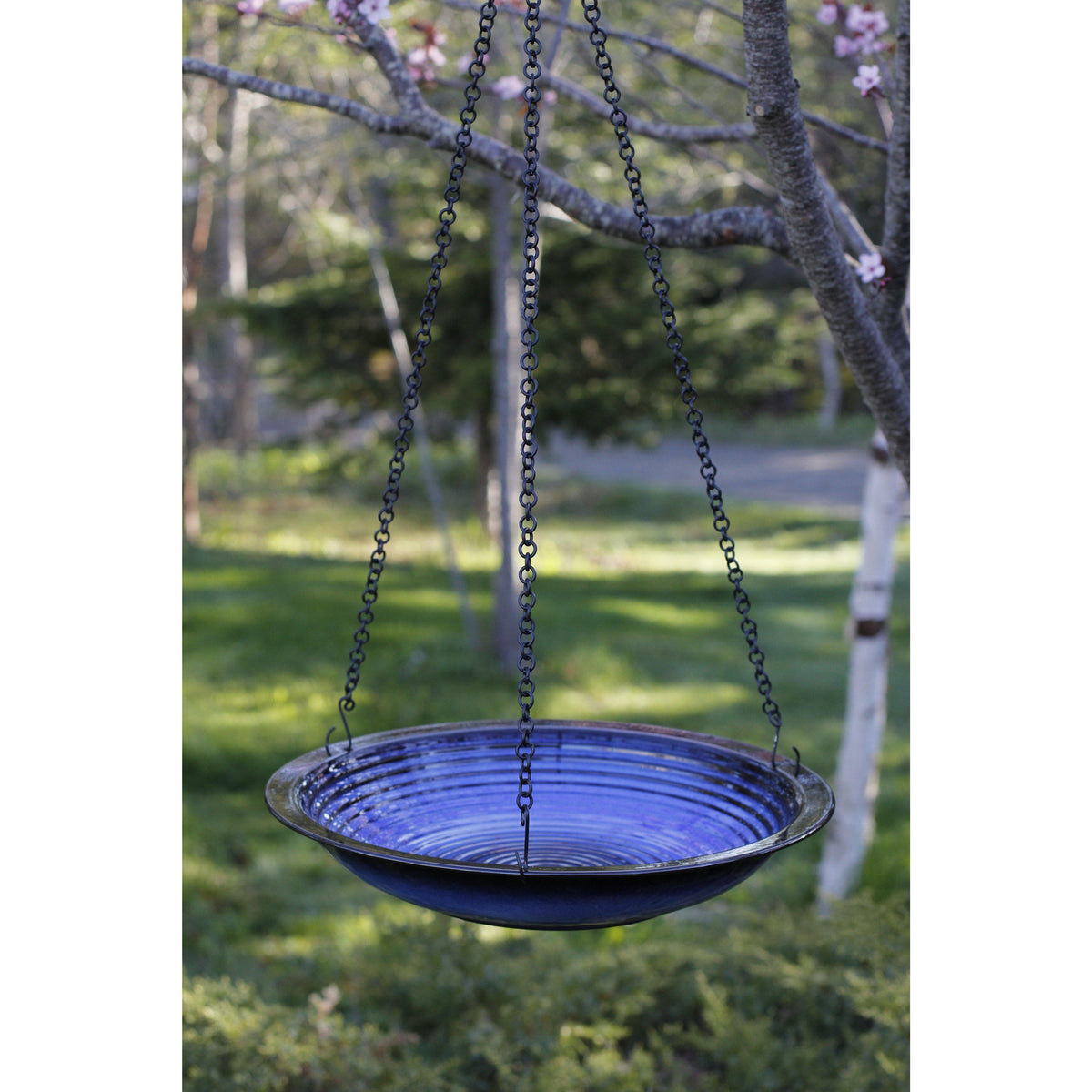 Circle Bird Bath - 