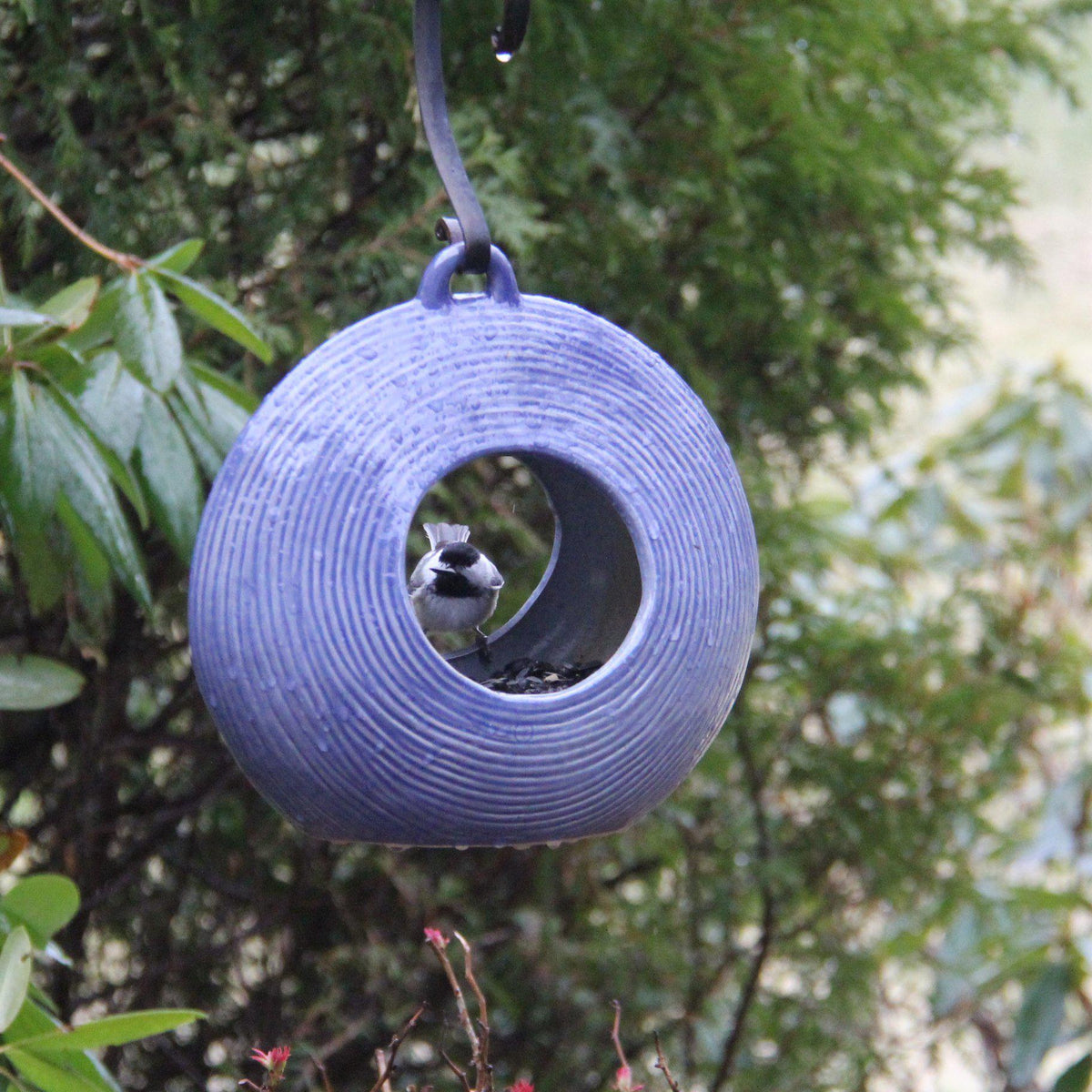 Circles Fly-Through Feeder, from Byer of Maine