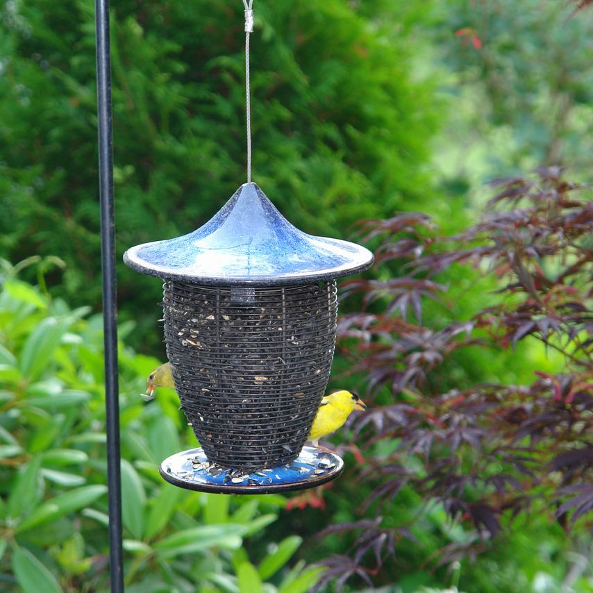 Alcyon Bird Feeder - cobalt blue