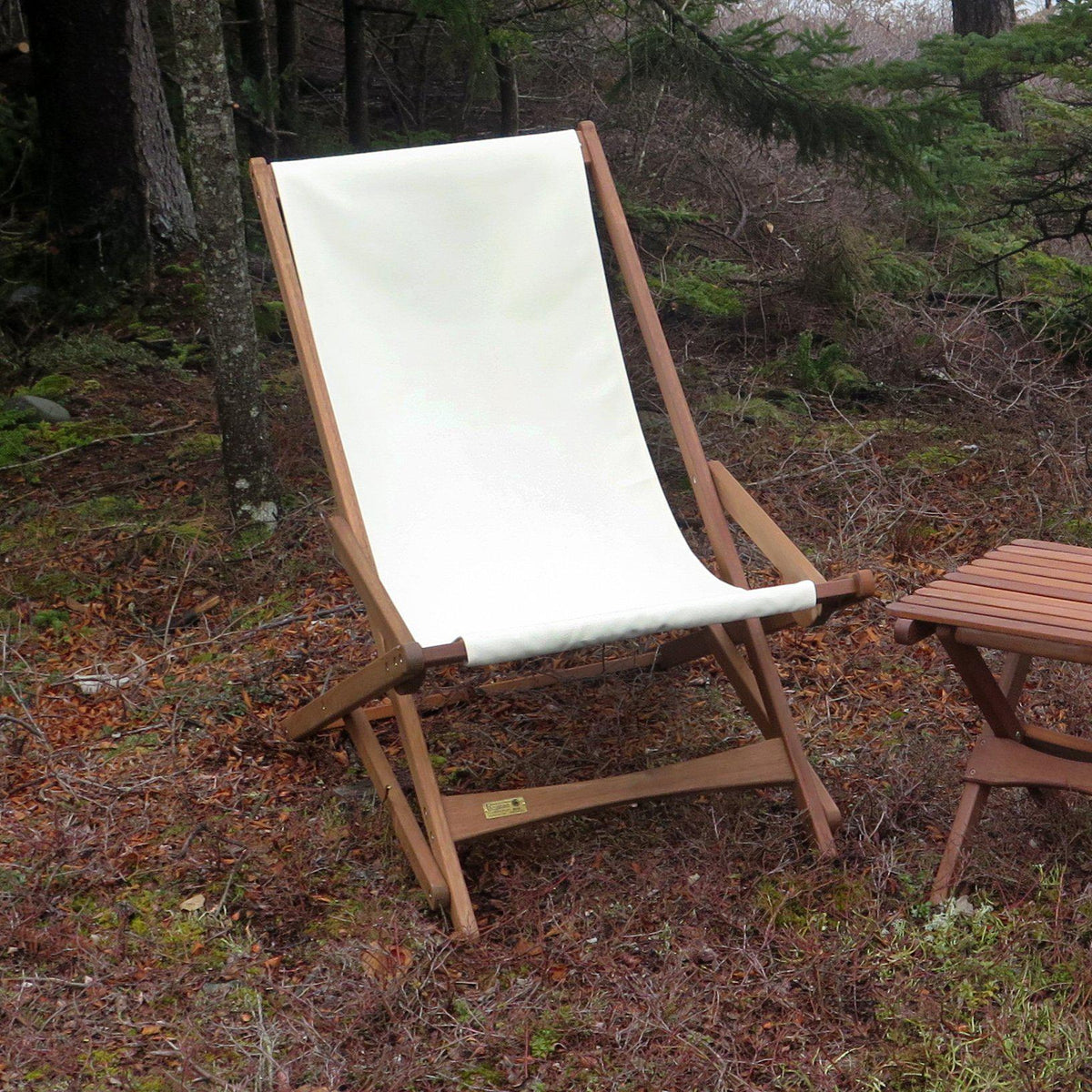 Pangean Glider, from Byer of Maine