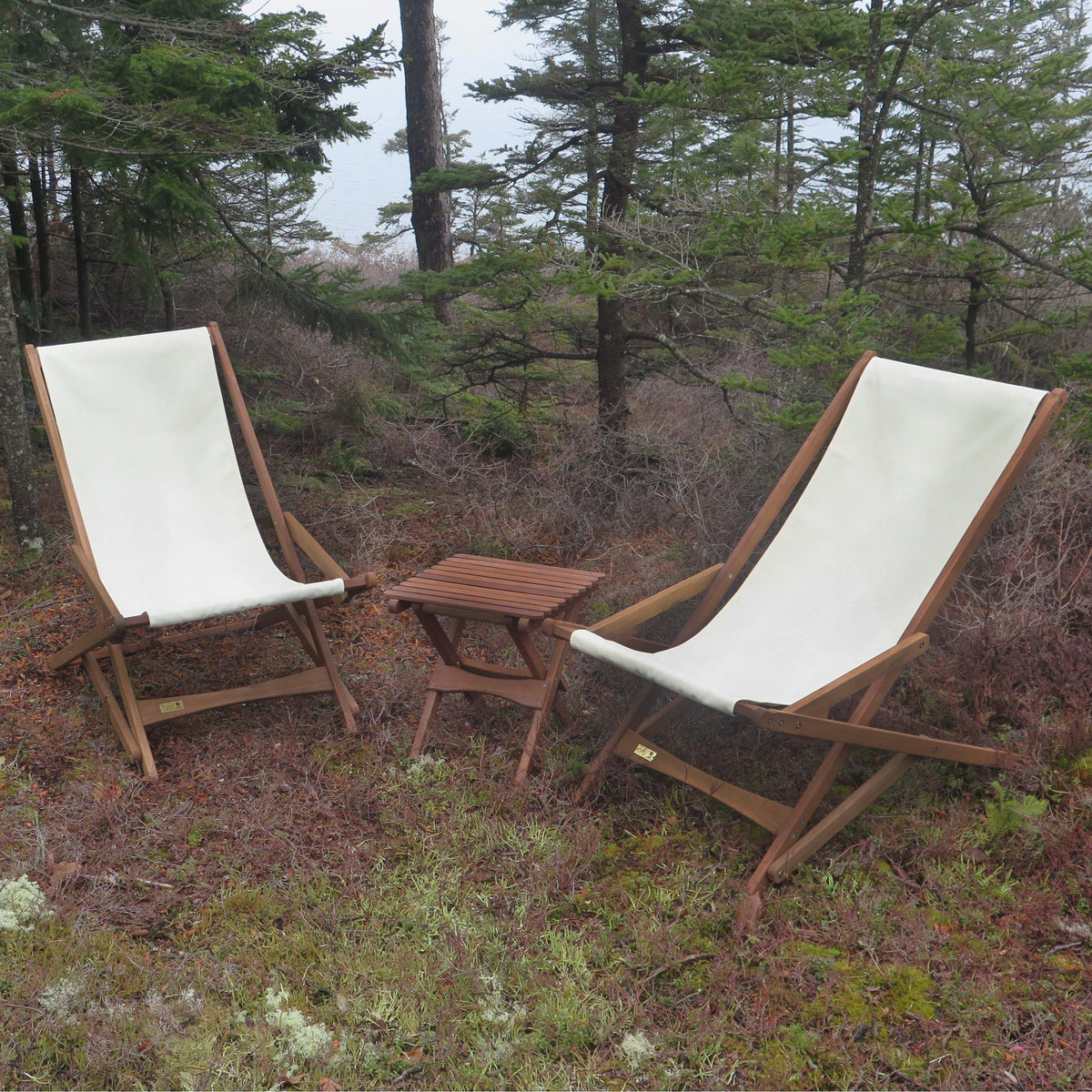 Pangean Glider, from Byer of Maine